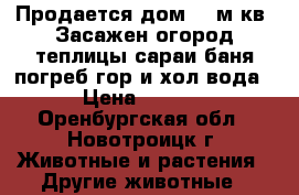 Продается дом 200м кв. Засажен огород теплицы сараи баня погреб гор и хол вода . › Цена ­ 11 111 - Оренбургская обл., Новотроицк г. Животные и растения » Другие животные   
